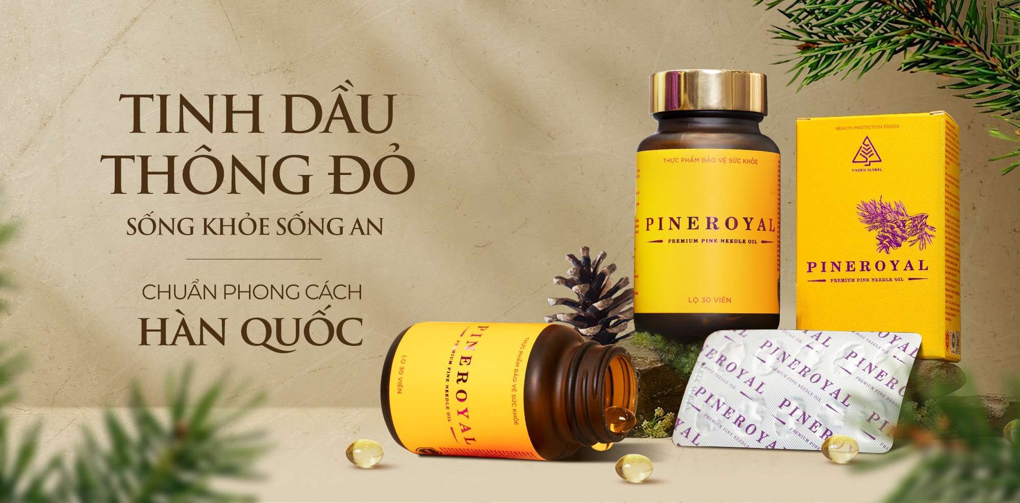 ai nên dùng tinh dầu thông đỏ