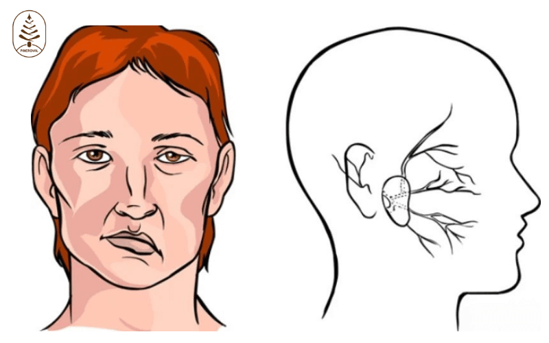 Bị giật môi trên bên trái: Nguyên nhân và cách điều trị hiệu quả