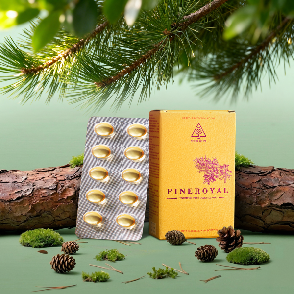 Pine Royal Vỉ