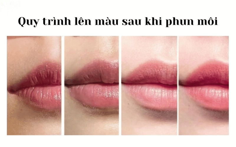Xăm môi sau bao lâu thì lên màu? Quy trình và chăm sóc đúng cách