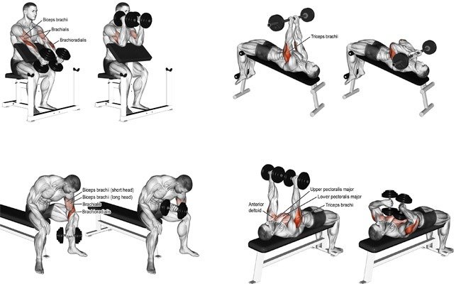 Các bài tập gym cơ bản cho nam giới