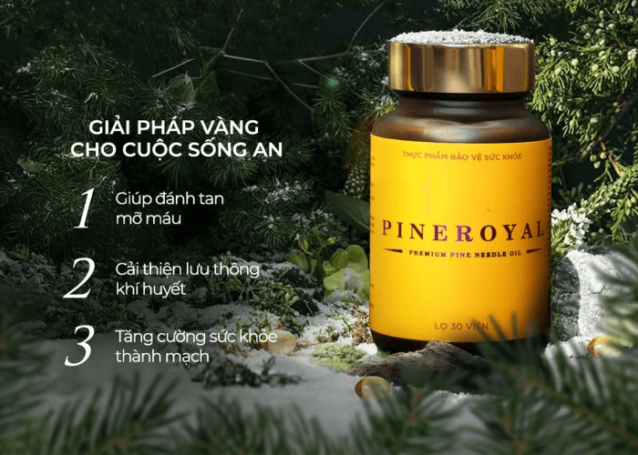Tinh dầu thông đỏ - Giải pháp sức khoẻ cho cuộc sống an.